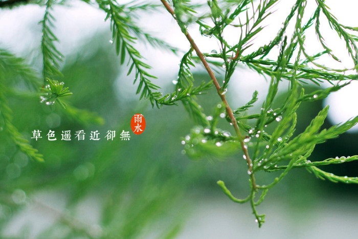 雨水 - 民俗节日